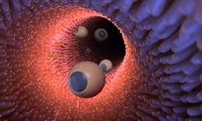 Robot siêu nhỏ mới đưa thuốc vào đúng vị trí trong cơ thể