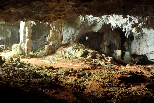 Phát hiện thêm 23 hang, động trên Vịnh Hạ Long và Bái Tử Long 