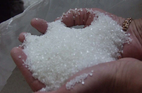 Lần đầu tiên xuất khẩu đường