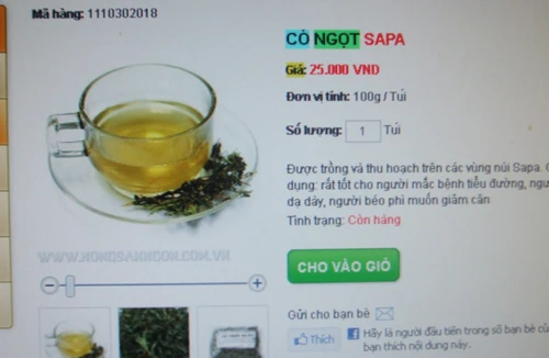 Mù mờ về “cỏ ngọt Sa Pa”