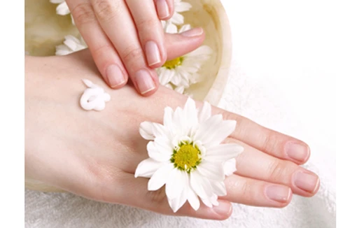 Sự kỳ diệu từ đôi bàn tay