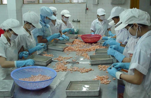 Vẫn thiếu nhân lực