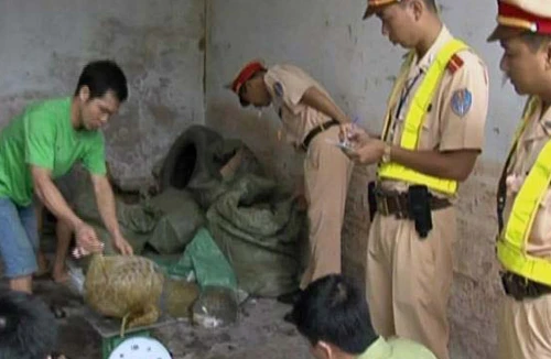 Tê tê lèn chặt trong cốp ô tô