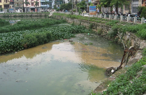 Việc cải tạo hồ sẽ chẳng có ý nghĩa