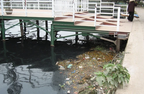 Để hồ Tây ngày càng đẹp hơn