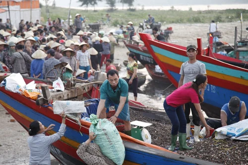 Chợ cá tấp nập trở lại, ngư dân vui mừng