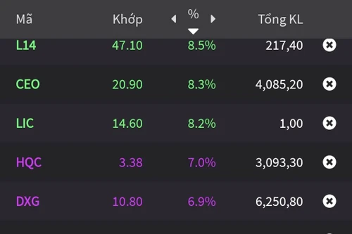 Nghị định 08 vừa ban hành, cổ phiếu bất động sản đua nhau tím trần