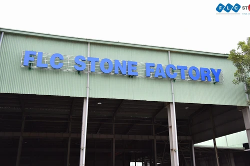 Sau chuỗi phiên tăng trần, giảm sàn liên tiếp, cổ phiếu AMD bị đình chỉ giao dịch