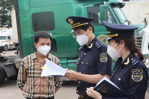 Hải quan “siết” thanh tra, giám sát, kiểm tra sau thông quan để chống thất thu ngân sách