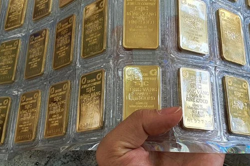 Khối lượng vàng SJC đấu thầu thành công tăng mạnh, lên tới 12.300 lượng