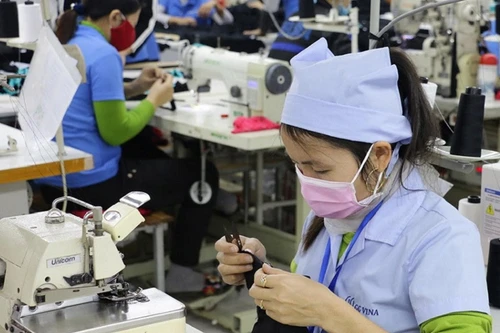 Đề xuất nới lỏng điều kiện tạm dừng đóng quỹ hưu trí, tử tuất