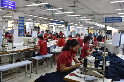 Hạn chót chi hỗ trợ người lao động từ quỹ Bảo hiểm thất nghiệp vào 31/12