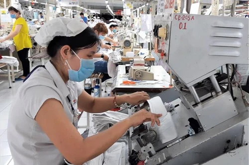 Đã chi hỗ trợ trên 10.800 tỷ đồng từ quỹ Bảo hiểm thất nghiệp