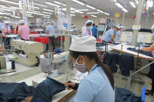 Hơn 613.000 lao động nghỉ việc không hưởng lương được duyệt hỗ trợ