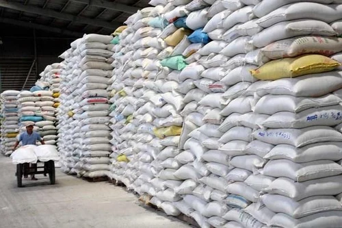 Cấp hơn 4.100 tấn gạo hỗ trợ người dân gặp khó khăn do dịch Covid-19