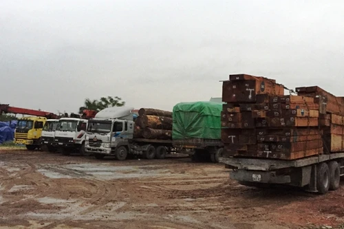 Bắt 8 xe chở gỗ quá tải trọng 650%