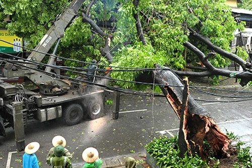 Trận Quảng Ninh - Hải Phòng phải hoãn do hậu quả cơn bão số 1