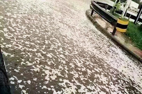 Giải đáp nghi vấn "mưa bọt trắng" bí ẩn ở Thiên Tân sau vụ nổ