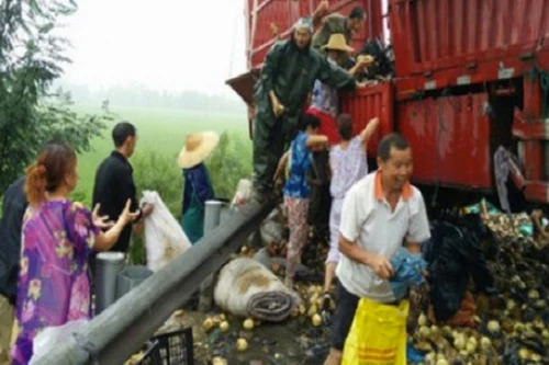 Trung Quốc: Tranh nhau hôi của 20 tấn lê bị đổ tràn xuống đường vì tai nạn