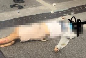 Tai nạn trên cầu Vĩnh Tuy, nam thanh niên đi xe máy tử vong