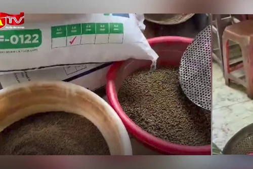 Cận cảnh xưởng sản xuất thuốc giả bằng phụ gia và than tre ở Thanh Hoá