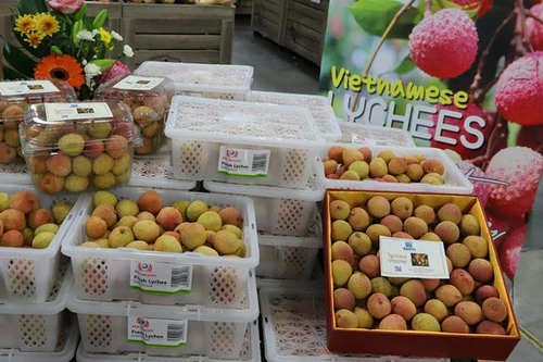 Một hộp vải Thanh Hà được bán với giá gần 52 triệu đồng ở Úc