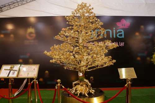 Cây mai mạ vàng 24k được chào giá gần 6 tỉ đồng