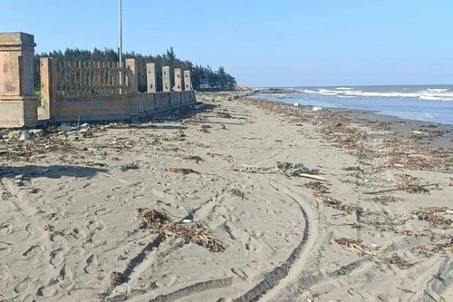 Thái Bình: Phát hiện thi thể người đàn ông không đầu ở bờ biển Cồn Vành