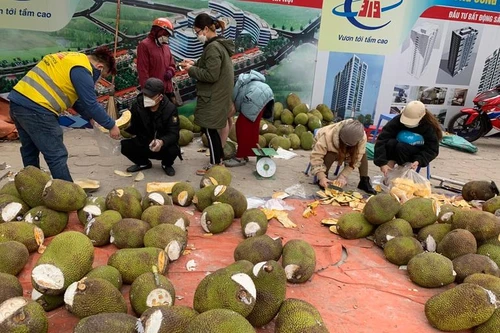 Tắc cửa khẩu, mít Thái tràn vỉa hè Hà Nội chờ 'giải cứu'