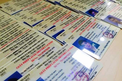 Dùng giấy phép lái xe giả, coi chừng vướng vòng lao lý