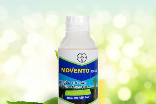 Người phụ nữ uống thuốc diệt côn trùng tự tử khi biết mắc Covid-19