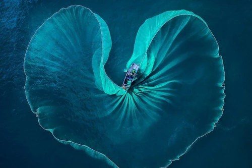 Ngắm lại 10 tác phẩm nhiếp ảnh Việt giành giải quốc tế năm 2021