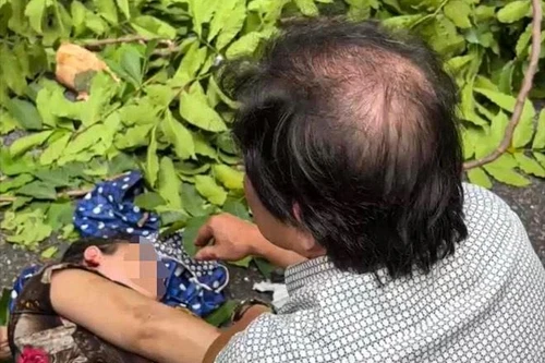 Cây xà cừ phố Hàng Mã đổ trúng người phụ nữ đi xe máy