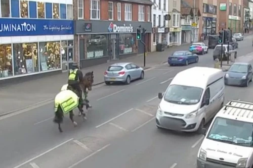  Anh: Cảnh sát dùng ngựa tuần tra phát hiện lái xe dùng điện thoại