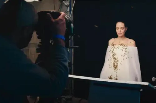 [ẢNH] Angelina Jolie không tắm 3 ngày để chụp ảnh bảo vệ loài ong