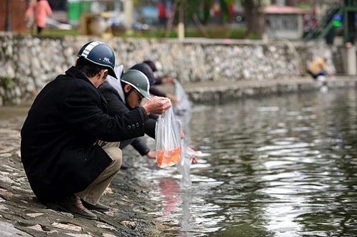 Phạt tới 7 triệu đồng khi thả cá, thả cả túi nilon
