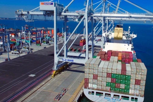 Phát hiện gần nửa tấn heroin trong container được chuyển đến Australia