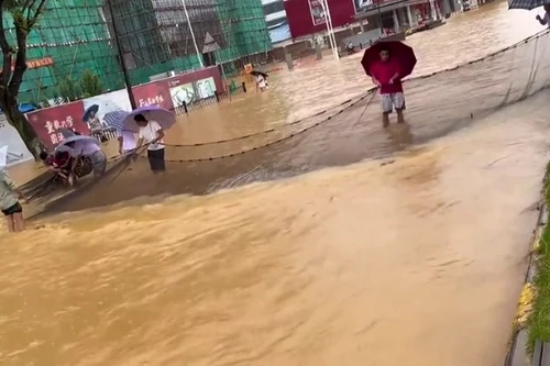 Người dân Trung Quốc thả lưới bắt cá trên đường phố