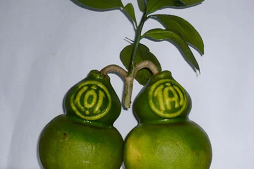 Đừng quên người nghèo