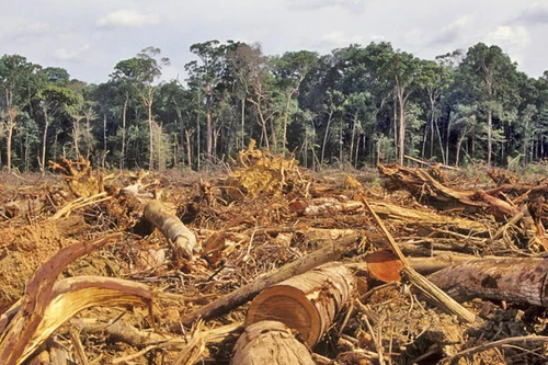 Lời cảnh báo với tương lai