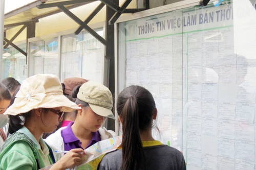 Sinh viên bị lừa khi kiếm việc làm thêm giáp Tết