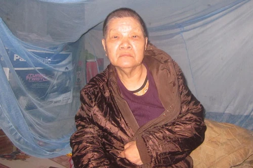 Thực hư câu chuyện về cây vải biết “than khóc”