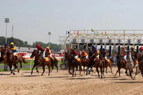 Đặt cược là hoạt động kinh doanh có điều kiện