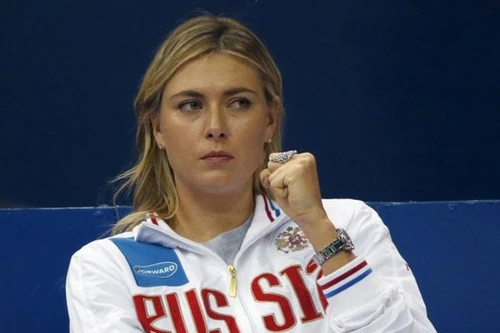 Sharapova lỗi hẹn với Qatar mở rộng