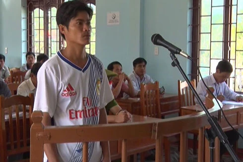 Hủy hoại rừng, bị phạt tù 1 năm, trồng và chăm sóc rừng trong 5 năm