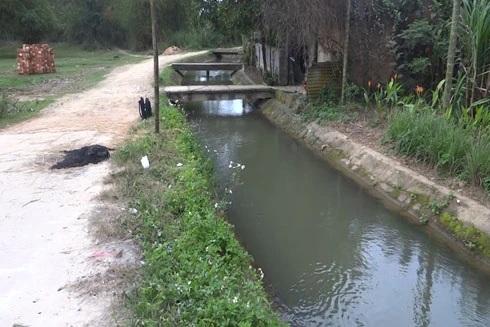 Quảng Ngãi: Đi tập văn nghệ, cháu gái bị chết dưới kênh nước 