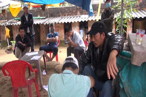 Quảng Ngãi: Đánh sập ổ đá gà ăn tiền lớn