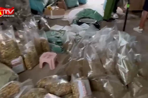 "Đột kích" công xưởng sản xuất thuốc nam hỗ trợ “sinh lý” giả, thu lời hàng tỷ đồng