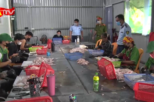 Cận cảnh dây chuyền sơ chế chân gà, thịt gà nhập lậu