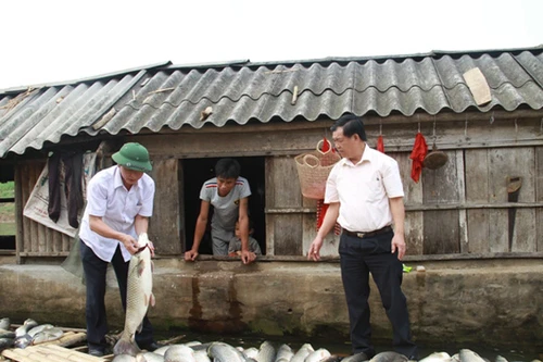 Đầu độc sông Bưởi, bị phạt gần 4 tỷ đồng